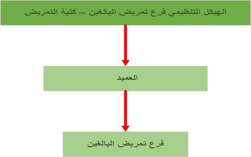 فرع تمريض البالغين