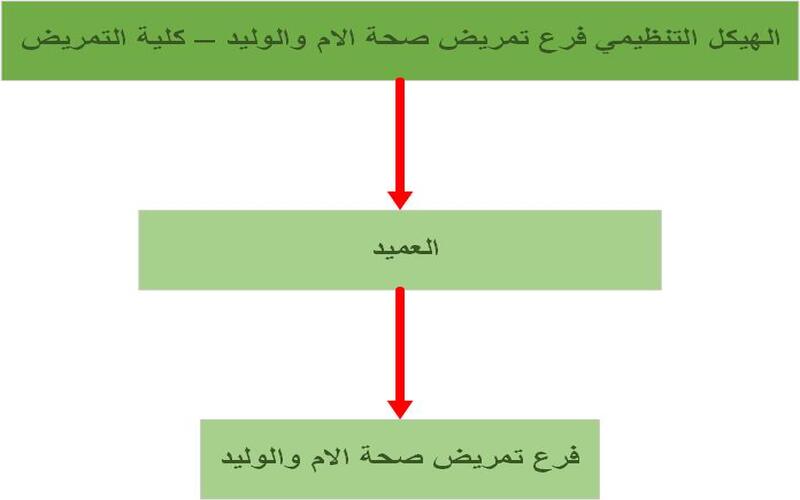 فرع تمريض صحة الام والوليد
